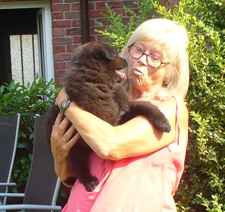 Nandido de Geracao nova